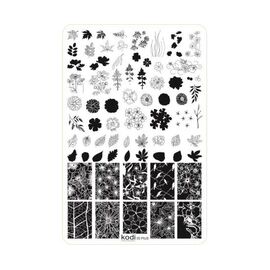 KODI Пластина для стемпінгу Plus size (розмір 9,5*14,5) № 05, №: 005, image 