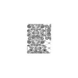 Dream Nails Слайдер-дизайн для нігтів TB-256, image 