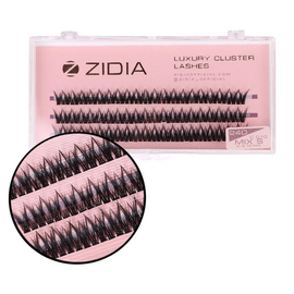 ZIDIA Cluster lashes Вії пучкові 24D C 0,10 MIX S C 0,10х8,9,10 mm, 3 стрічки, image 