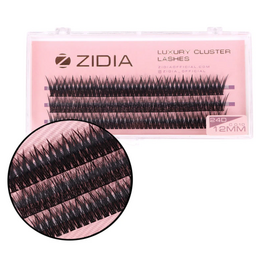 ZIDIA Cluster lashes Вії пучкові 24D C 0,10х12 mm, 3 стрічки, image 