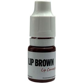 THE MINERAL Lip Corrector Коректор для перманентного макіяжу губ Lip Brown, 6 мл, Об'єм: 6 мл, Колір: Brown, image 
