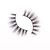 ZIDIA Lashes, style ARUBA (black band) 1 pair, reusable, image _ab__is.image_number.default