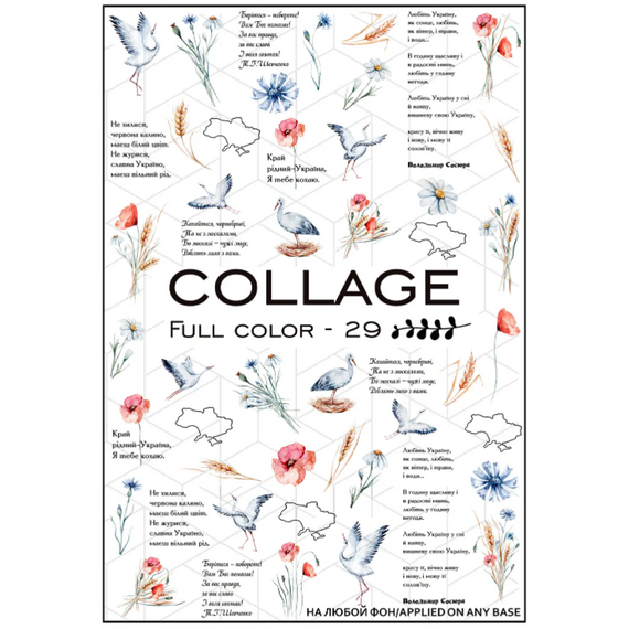 NEWMAX SLIDER Слайдер-дизайн FC-29, image 