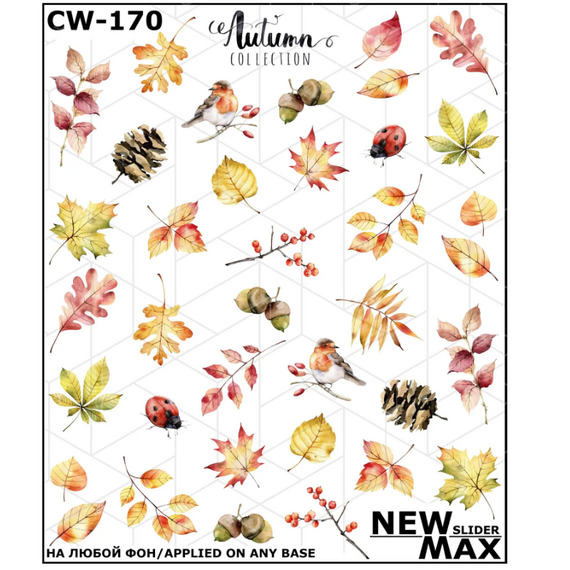 NEWMAX SLIDER Слайдер-дизайн CW-170, image 