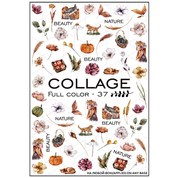 NEWMAX SLIDER Слайдер-дизайн FC-37, image 