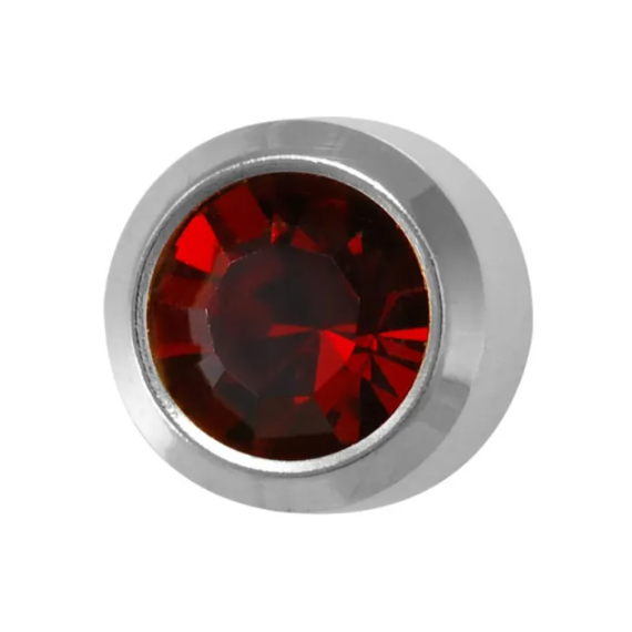 CAFLON Сережка гвоздик (NPVD, Z, гранат, оправа, 4мм, сталь, перший прокол), image 