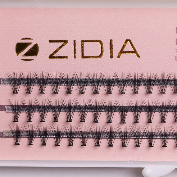 ZIDIA Cluster lashes Вії пучкові 10D C 0,10х8 mm, 3 стрічки, image _ab__is.image_number.default