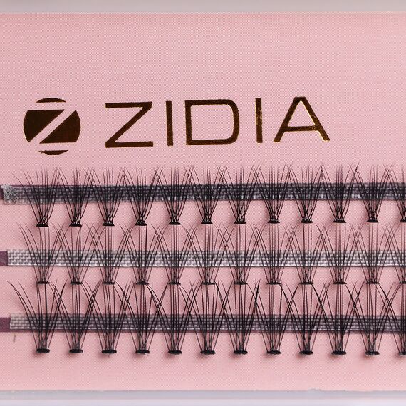 ZIDIA Cluster lashes Вії пучкові 10D MIX C 0,10х8,10,12 mm, 3 стрічки, image _ab__is.image_number.default