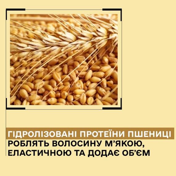 SINERGY Маска Smart для об'єму тонкого волосся Y3.2, 250 мл, Об'єм: 250 мл, image _ab__is.image_number.default