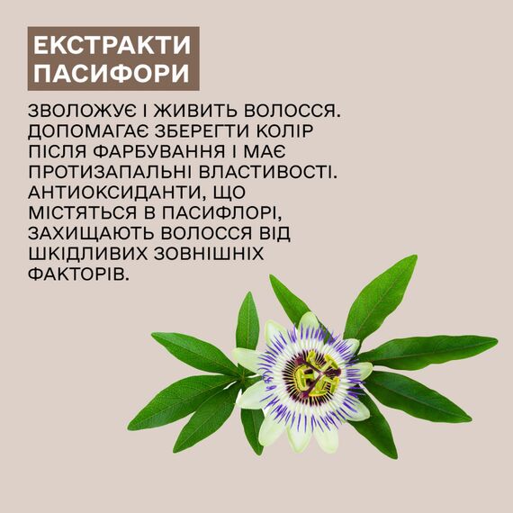 SINERGY Шампунь для фарбованого волосся ZEN, 250 мл, Об'єм: 250 мл, image _ab__is.image_number.default